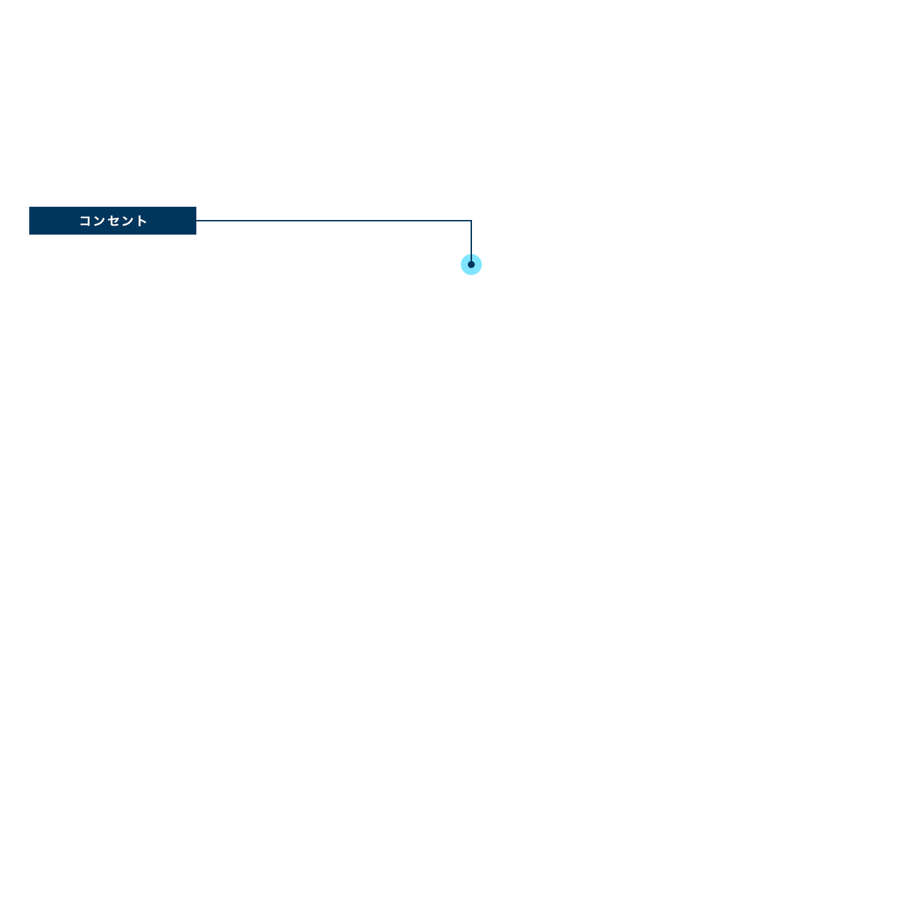 design01_btn_consent_on